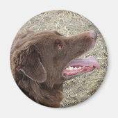 P4 Flatlandersam profiel Magneet (Voorkant)