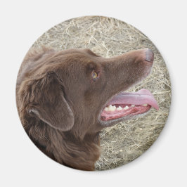 P4 Flatlandersam profiel Magneet