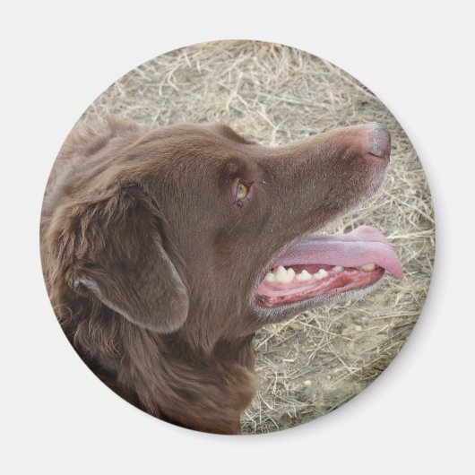 P4 Flatlandersam profiel Magneet (Voorkant)