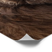 P4 Flatlandersam profiel Poster (Hoek)