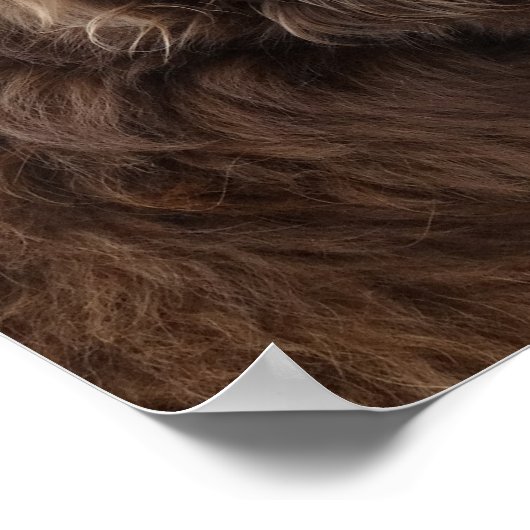 P4 Flatlandersam profiel Poster (Hoek)