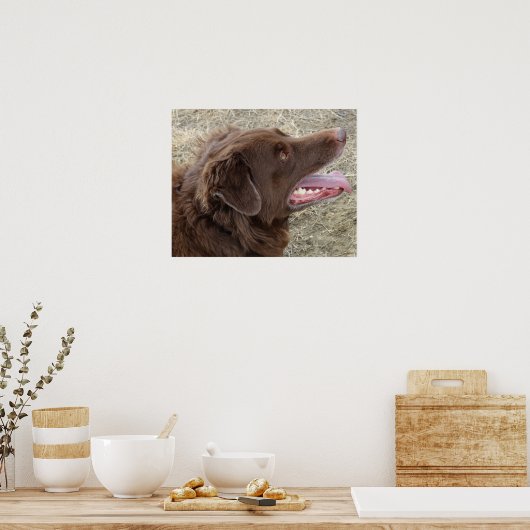 P4 Flatlandersam profiel Poster (Keuken)