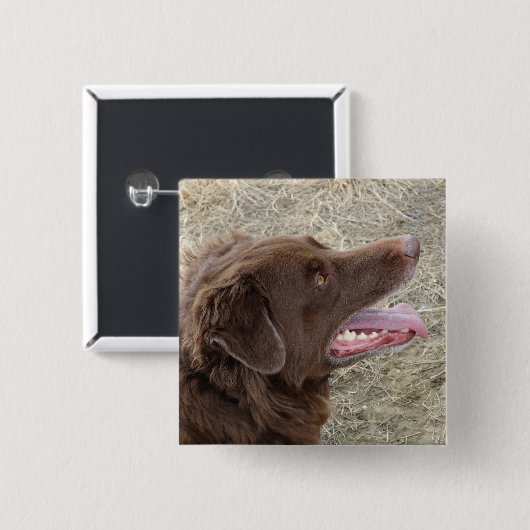 P4 Flatlandersam profiel Vierkante Button 5,1 Cm (Voorkant /achterkant)