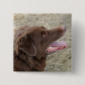 P4 Flatlandersam profiel Vierkante Button 5,1 Cm (Voorkant)