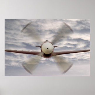 P51 Mustang Composite Poster