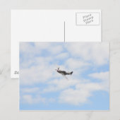P51 Mustang in vlucht Briefkaart (Voorkant / Achterkant)
