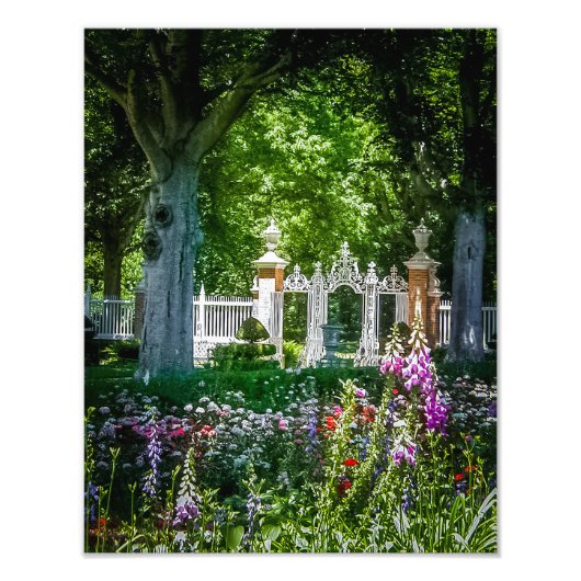 P5270048-Governor's Palace Gardens Foto Afdruk (Voorkant)