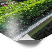 P527004(1)-Governor's Palace Garden Foto Afdruk (Hoek)