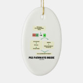 P53 Pathways Inside (Cell Molecular Biology) Keramisch Ornament (Rechts)