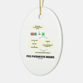 P53 Pathways Inside (Cell Molecular Biology) Keramisch Ornament (Links)