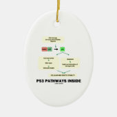 P53 Pathways Inside (Cell Molecular Biology) Keramisch Ornament (Voorkant)