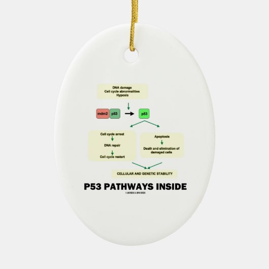 P53 Pathways Inside (Cell Molecular Biology) Keramisch Ornament (Voorkant)
