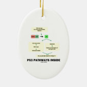 P53 Pathways Inside (Cell Molecular Biology) Keramisch Ornament (Achterkant)