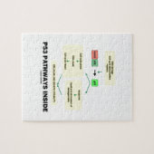 P53 Pathways Inside (Cell Molecular Biology) Legpuzzel (Horizontaal)