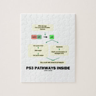 P53 Pathways Inside (Cell Molecular Biology) Legpuzzel