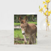 P6038047 KAART (Gele Bloem)