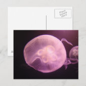 P6250304 BRIEFKAART (Voorkant / Achterkant)