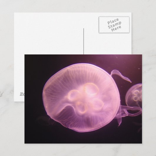 P6250304 BRIEFKAART (Voorkant / Achterkant)