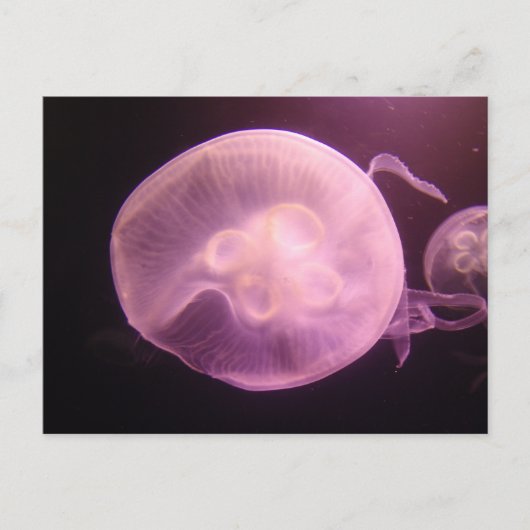 P6250304 BRIEFKAART (Voorkant)