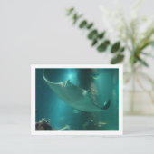 P6250309 BRIEFKAART (Staand voorkant)