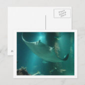 P6250309 BRIEFKAART (Voorkant / Achterkant)