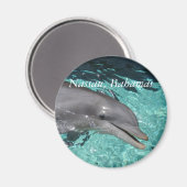 P8010404, Nassau, Bahama's Magneet (Voorkant / Achterkant)