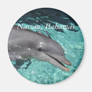 P8010404, Nassau, Bahama's Magneet