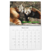 P8310607, hou van die Rode Pandas!, ... - GEPERSON Kalender (Mar 2027)