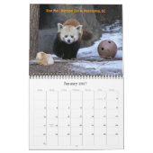 P8310607, hou van die Rode Pandas!, ... - GEPERSON Kalender (Jan 2027)