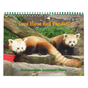 P8310607, houd van die Rode Panda's! ,… - Kalender