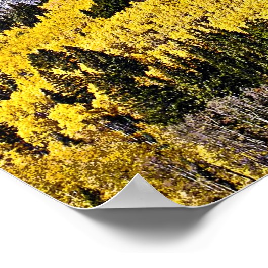 P9270030 - Hill of Golden Aspen Poster (Hoek)
