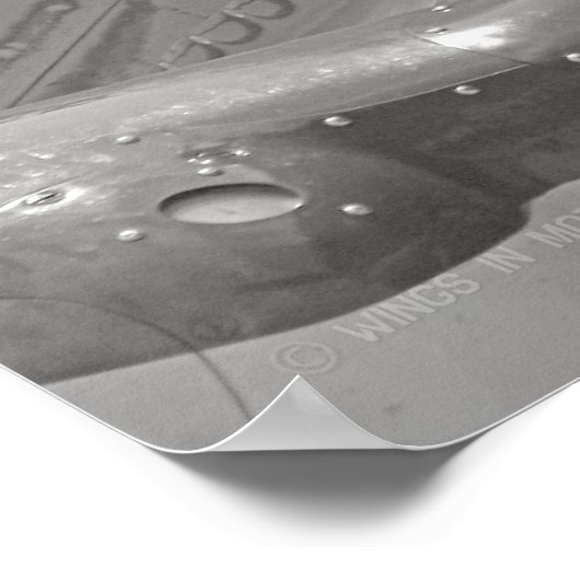 P-40 WARHAWK POSTER (Hoek)