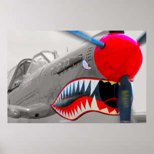P-40 WARHAWK POSTER