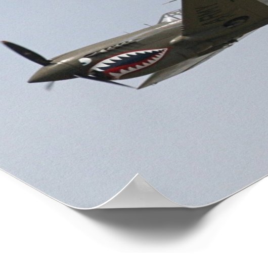 P-40 Warhawk Poster (Hoek)