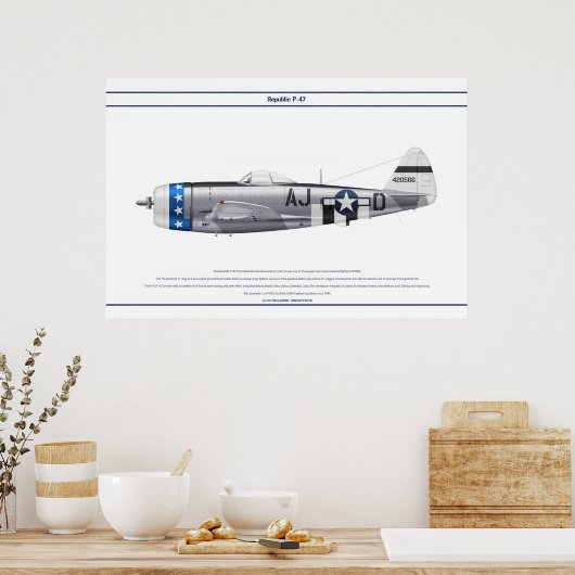 P-47D 356FS USAAF POSTER (Keuken)