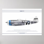 P-47D 356FS USAAF POSTER (Voorkant)