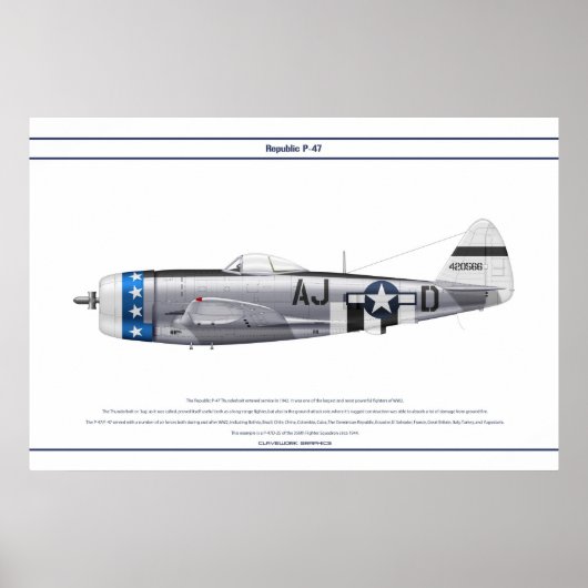 P-47D 356FS USAAF POSTER (Voorkant)