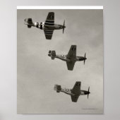 P-51 B en P51D Mustang Poster (Voorkant)