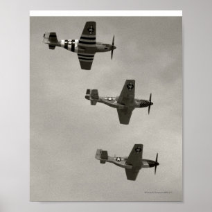 P-51 B en P51D Mustang Poster