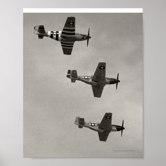 P-51 B en P51D Mustang Poster (Voorkant)