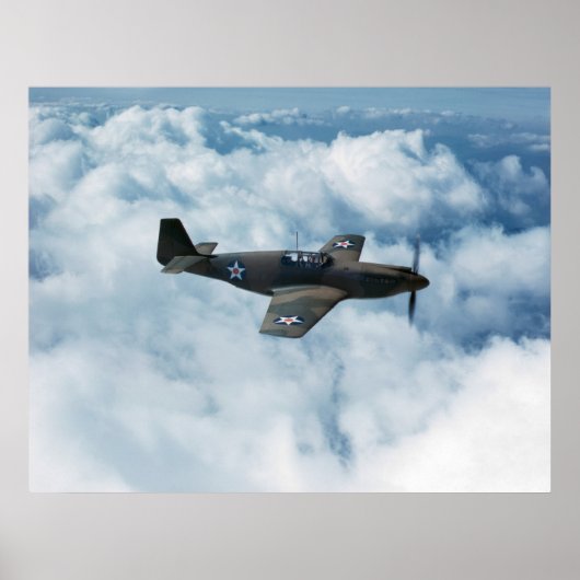 P-51 Mustang Poster (Voorkant)