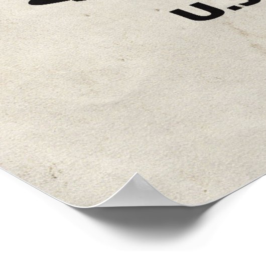 P-51 Mustang Poster (Hoek)