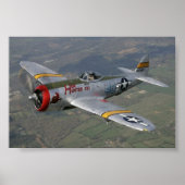 p-51 Mustang Poster (Voorkant)