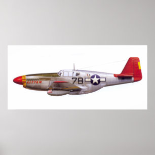  P-51 Mustang Tuskegee Airmen Wereldoorlog II Poster