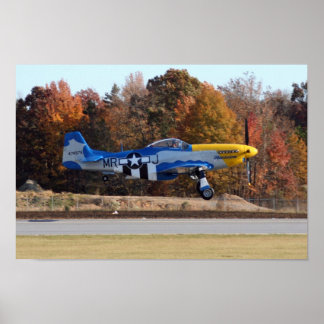 P-51 POSTER