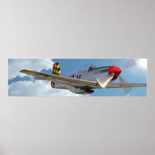 P-51D Mustang Poster (Voorkant)