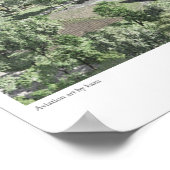 P-51D Mustang Poster (Hoek)