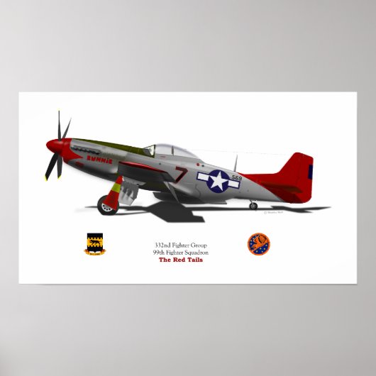 P-51Dtuskegee Poster (Voorkant)