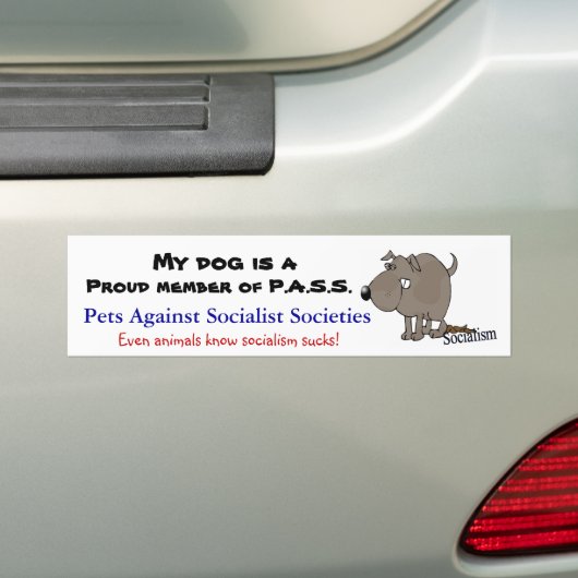 P.A.S.S. BUMPERSTICKER (Op auto)