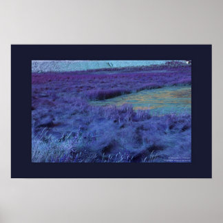 P Hieronder in Indigo Poster